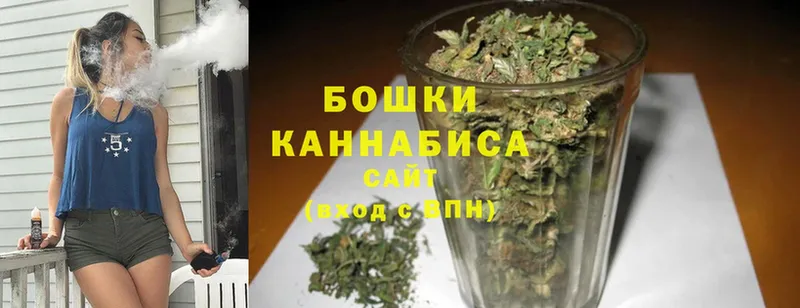 мориарти формула  mega зеркало  Зуевка  Марихуана White Widow 